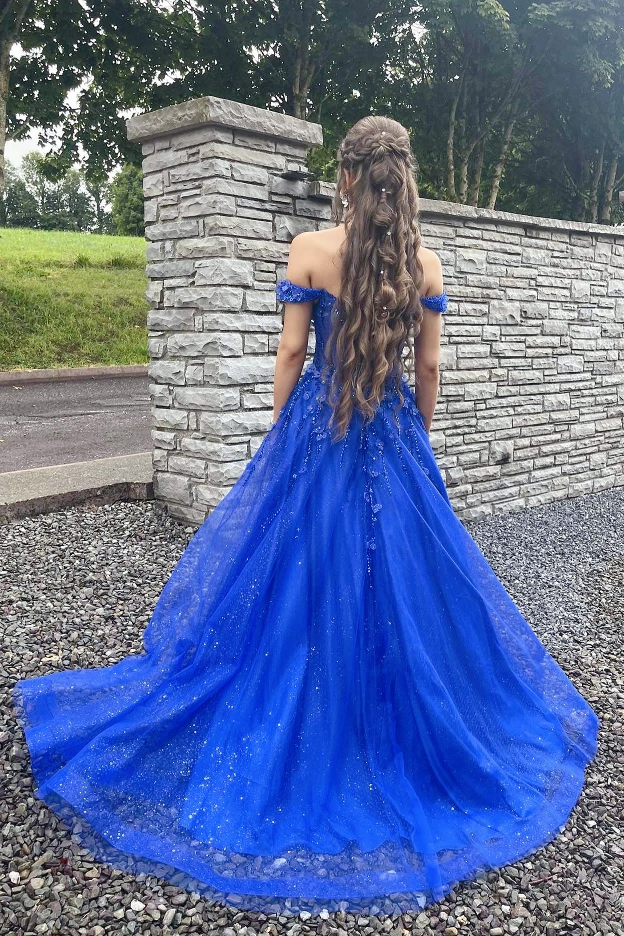 Royal Blue Glitter Tulle Off-the-Shoulder A-Line Prom Gown
