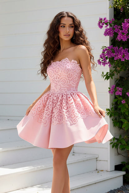 Strapless Lace Applique Fit and Flare Mini Dress