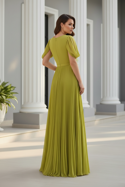 Pleated V-Neck A-Line Gown with Feather Detail