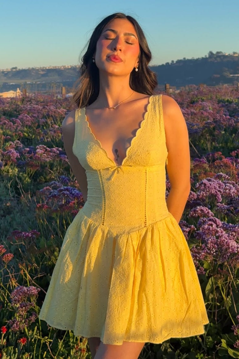 Scalloped V-Neck Fit and Flare Mini Dress