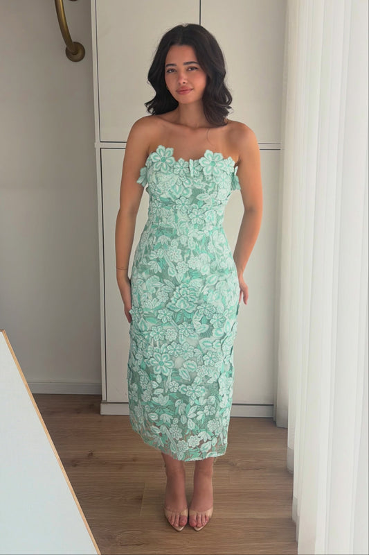 Strapless 3D Floral Applique Midi Dress