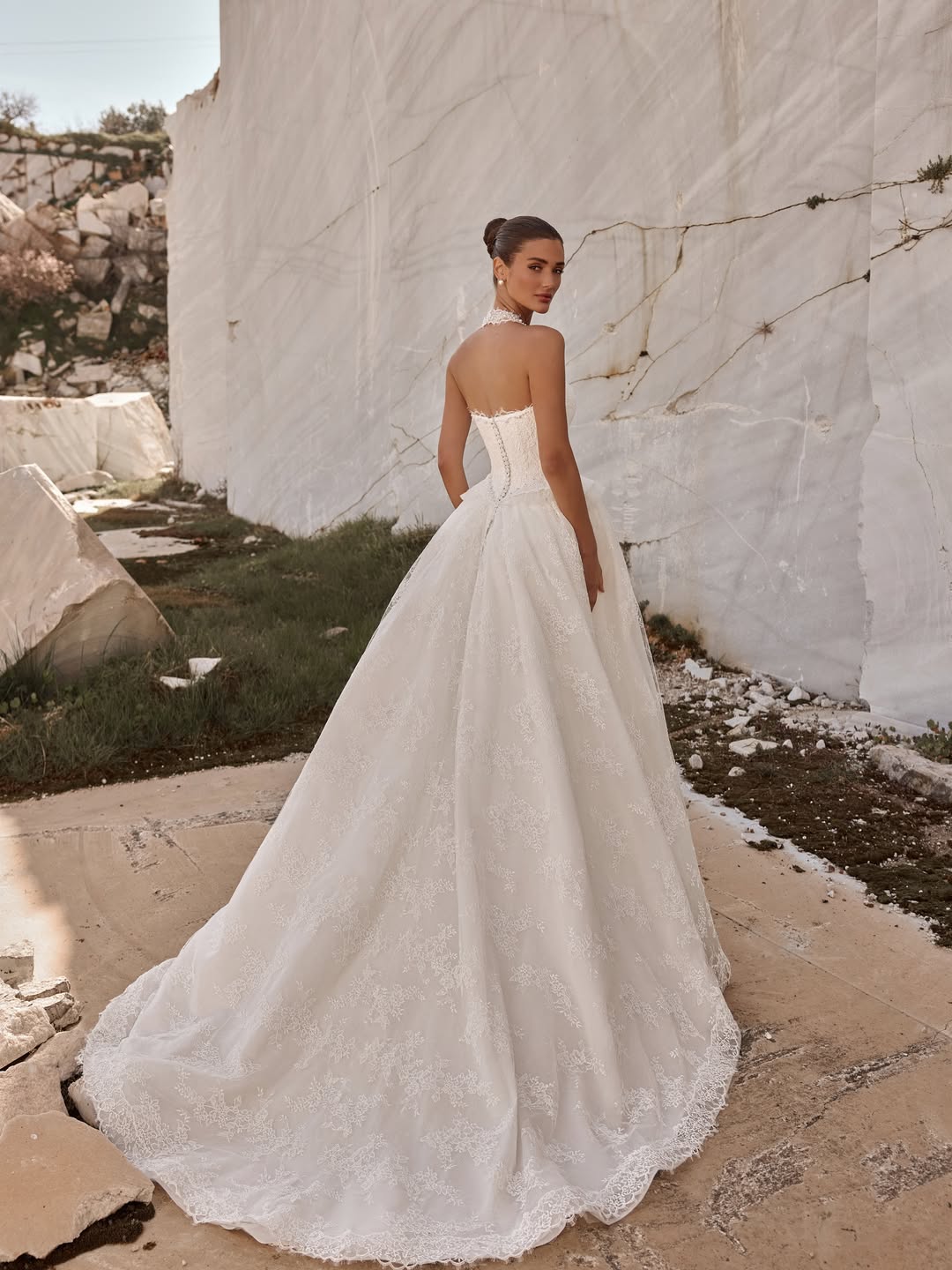 Lace Halter Ball Gown Wedding Dress with Basqued Hip